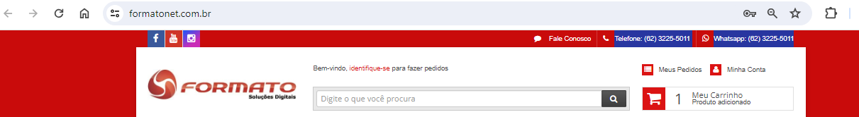 DDD do Brasil no Número de telefone Alterar - Código CSS/HTML - Comunidade  Loja Integrada